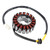 2000-2006 Honda NES SES SH 125 150 18-Pole Magneto Generator Stator 31120-KGF-912 Generic