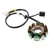 2000-2004 Malaguti F18 Warrior 125/150 11-Pole Magneto Generator Stator 00128947 Generic