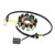 1999-2005 Beta Eikon 125/125 S7 11-Pole Magneto Generator Stator 00128947 Generic