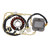 2003-2006 Honda FES 125/150 Pantheon Magneto Coil Stator+Voltage Regulator+Gasket Assy Generic