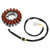 2002-2009 Honda SES 125 150 18-Pole Magneto Generator Stator 3SX-81410-00 Generic