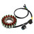 2002 Kawasaki SC250 Epsilon 18-Pole Magneto Generator Stator 21003-S002 Generic 2002 Kawasaki SC250 Epsilon 18-Pole Magneto Generator Stator 21003-S002 Generic