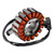 2005-2006 Honda PS 250 Big Ruckus Magneto Coil Stator+Voltage Regulator+Gasket Assy 31120-KTB-771 Generic