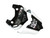 Fairings Ducati 999 White & Black Xerox Racing (2005-2006) Fairings Ducati 999 White & Black Xerox Racing (2005-2006)