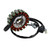 2007-2014 TGB Blade 250 325 Target 325 Magneto Coil Stator+Voltage Regulator+Gasket Assy Generic