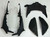 Fairings Honda CBR1000 RR Black Green Valentino Rossi  Racing (2008-2011) Fairings Honda CBR1000 RR Black Green Valentino Rossi  Racing (2008-2011)