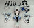 Fairings Honda CBR1000 RR White & Blue Black Flame Racing (2008-2011) Fairings Honda CBR1000 RR White & Blue Black Flame Racing (2008-2011)