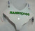 Fairings Honda CBR 1000 RR White Green Hannspree Racing (2008-2011) Fairings Honda CBR 1000 RR White Green Hannspree Racing (2008-2011)