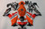 Fairings Honda CBR1000RR Repsol Orange Racing (2012-2013-2014-2015-2016) Fairings Honda CBR1000RR Repsol Orange Racing (2012-2013-2014-2015-2016)