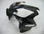 Fairings Honda CBR 600 F4i  Black F4i Racing (2004-2007) Fairings Honda CBR 600 F4i  Black F4i Racing (2004-2007)
