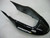 Fairings Honda CBR 600 F4i  Black F4i Racing (2004-2007) Fairings Honda CBR 600 F4i  Black F4i Racing (2004-2007)