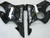 Fairings Honda CBR 600 F4i  Black F4i Racing (2004-2007) Fairings Honda CBR 600 F4i  Black F4i Racing (2004-2007)