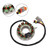 Ski-Doo Bombardier Freestyle Grand Touring Gsx Stator Generator 420889368 Generic