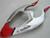 Fairings Yamaha YZF-R1 Red Silver Fortuna  R1 Racing (2004-2006) Fairings Yamaha YZF-R1 Red Silver Fortuna  R1 Racing (2004-2006)