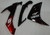 Fairings Yamaha YZF-R1 Black & Red Flame  R1 Racing (2007-2008) Fairings Yamaha YZF-R1 Black & Red Flame  R1 Racing (2007-2008)