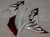 Fairings Yamaha YZF-R1 White & Dark Red Flame R1 Racing (2007-2008)