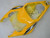 Fairings Yamaha YZF-R6 Yellow White Black Motul R6 Racing (2006-2007) Fairings Yamaha YZF-R6 Yellow White Black Motul R6 Racing (2006-2007)