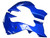 Fairings Kawasaki ZX 10R Blue Ninja Racing (2006-2007) Fairings Kawasaki ZX 10R Blue Ninja Racing (2006-2007)