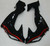 Fairings Kawasaki ZX 10R Black & Red Flame Ninja Racing (2006-2007) Fairings Kawasaki ZX 10R Black & Red Flame Ninja Racing (2006-2007)