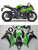 Fairings Plastics Kawasaki ZX10R Ninja Green Black ZX10R Racing (2011-2016)