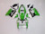 Fairings Plastics Kawasaki ZX6R 636 Green White Black Ninja Racing (2000-2002)