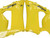 Fairings Kawasaki ZX6R 636 Yellow Black Ninja Racing  (2005-2006) Fairings Kawasaki ZX6R 636 Yellow Black Ninja Racing  (2005-2006)