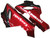 Fairings Kawasaki ZX6R 636 Black & Red Flame Ninja Racing  (2005-2006)