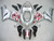 Fairings Kawasaki ZX6R 636 Silver & Red Flame Ninja  Racing  (2005-2006) Fairings Kawasaki ZX6R 636 Silver & Red Flame Ninja  Racing  (2005-2006)