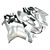 Fairings Kawasaki ZX6R ZX636 Silver Ninja Racing  (2007-2008)