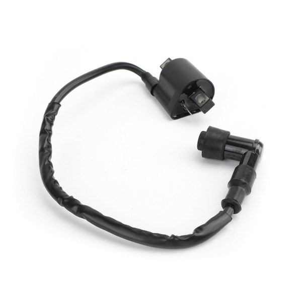 12V Ignition Coil For 50cc 90cc 110cc 125cc 150cc 250cc Chinese Taotao ATV Scooter