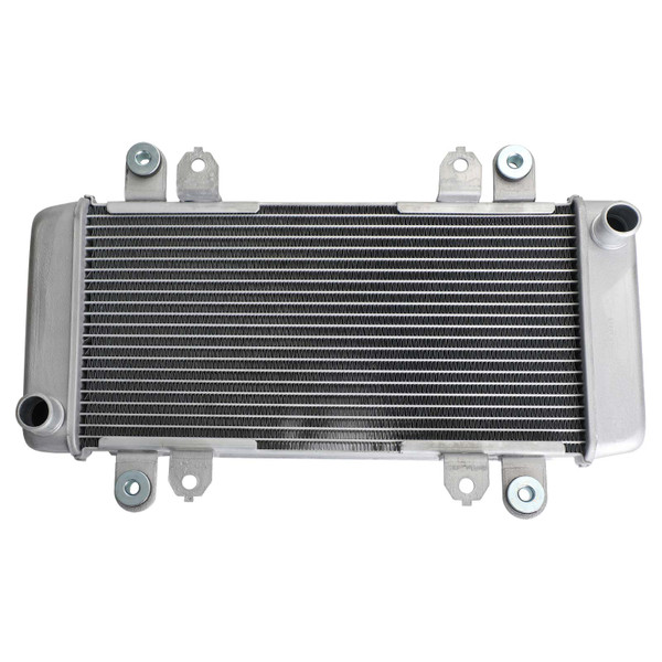 Radiator Guard Cooler Cooling For KAWASAKI NINJA 300 EX300 EX 300 2013-2017 Silver Radiator Guard Cooler Cooling For KAWASAKI NINJA 300 EX300 EX 300 2013-2017 Silver