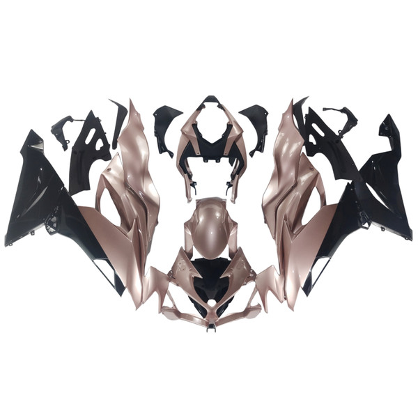 2019-2023 Kawasaki ZX6R Injection Fairing Kit Bodywork Plastic ABS Amotopart Fairing #129