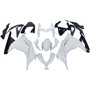 2013-2017 Kawasaki Ninja 300R EX300R White Ninja Racing Amotopart Fairings Plastics