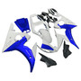 2003-2004 Yamaha YZF 600 R6 / 2006-2009 R6S Injection Fairing Kit Bodywork Plastic ABS #151 Amotopart Fairing