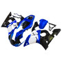 1998-2002 Yamaha YZF 600 R6 Injection Fairing Kit Bodywork Plastic ABS #126 Amotopart Fairing