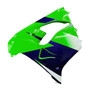 2000-2001 Kawasaki ZX9R Amotopart Injection Fairing Kit Bodywork Plastic ABS #117