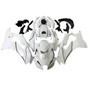 2021-2024 Kawasaki ZX-10R ZX-10RR Injection Fairing Kit Bodywork ABS Amotopart Fairing #143