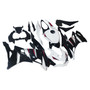 2019-2025 Kawasaki Ninja ZX-25R ZX-4R ZX-4RR Injection Fairing Kit Amotopart Fairing #145