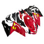 2006-2011 Aprilia RS125 Injection Fairing Kit Bodywork Plastic ABS Amotopart Fairing #120