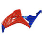 2006-2007 Honda CBR1000RR Injection Fairing Kit Bodywork Plastic ABS Amotopart Fairing #178