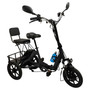 3 Wheel Electric Motorized Folding Tricycle E-Bike 48V 350W