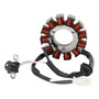 Yamaha EGO 125 SOLARIZ 12-Pole Magneto Generator Stator 2PH-H1410-10 Generic