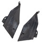 2024-2025 BMW R1300GS Side Tank Panel Carbon Generic