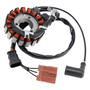2007-2011 DERBI GP1 RAMBLA 18-Pole Magneto Generator Stator 58070R Generic
