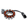 2008-2017 Piaggio Vespa Primavera/ Sprint 50 4T S 50 /College/Spoert 12-Pole Magneto Generator Stator 1A010013 Generic