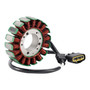2002-2003 Yamaha YZF-R1 1000 RN095 18-Pole Magneto Generator Stator 5PW-81410-00 Generic