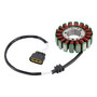 2002-2003 Yamaha YZF-R1 1000 RN095 18-Pole Magneto Generator Stator 5PW-81410-00 Generic