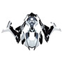 Yamaha YZF-R1 2020-2025 Fairing Kit Bodywork Plastic ABS Generic#206