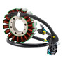 2002 Kawasaki SC250 Epsilon 18-Pole Magneto Generator Stator 21003-S002 Generic