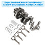 BMW 2.0L N42B20A N43B20A N46B20 Engine Crankshaft Main & Conrod Bearings 11217516040 Generic